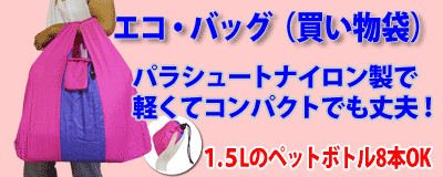 �G�R�o�b�O
